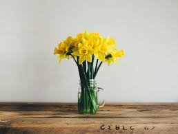 Exploring Remedies for Nasal Allergies
