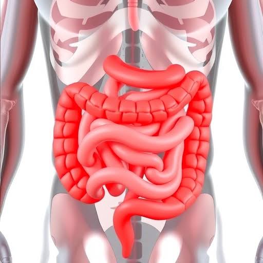 The Role of Nutrition in Managing Inflammatory Bowel Disease