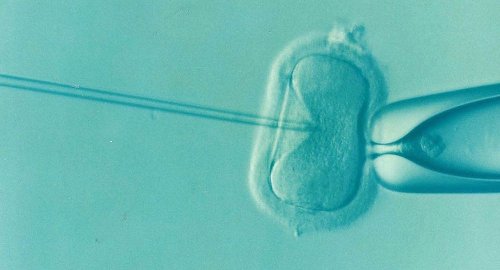 Urology and Its Role in Fertility Issues